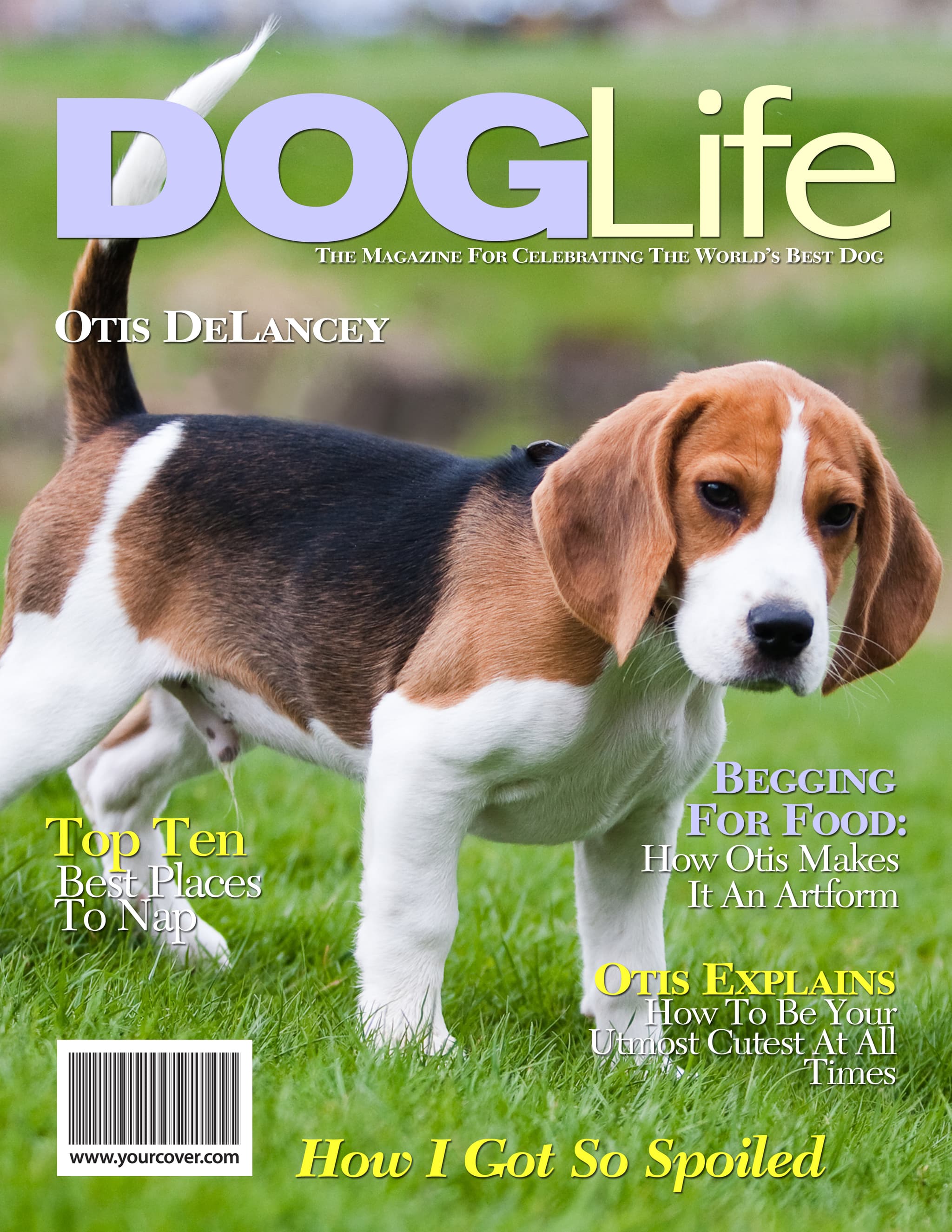 Dog Life magazine cover template