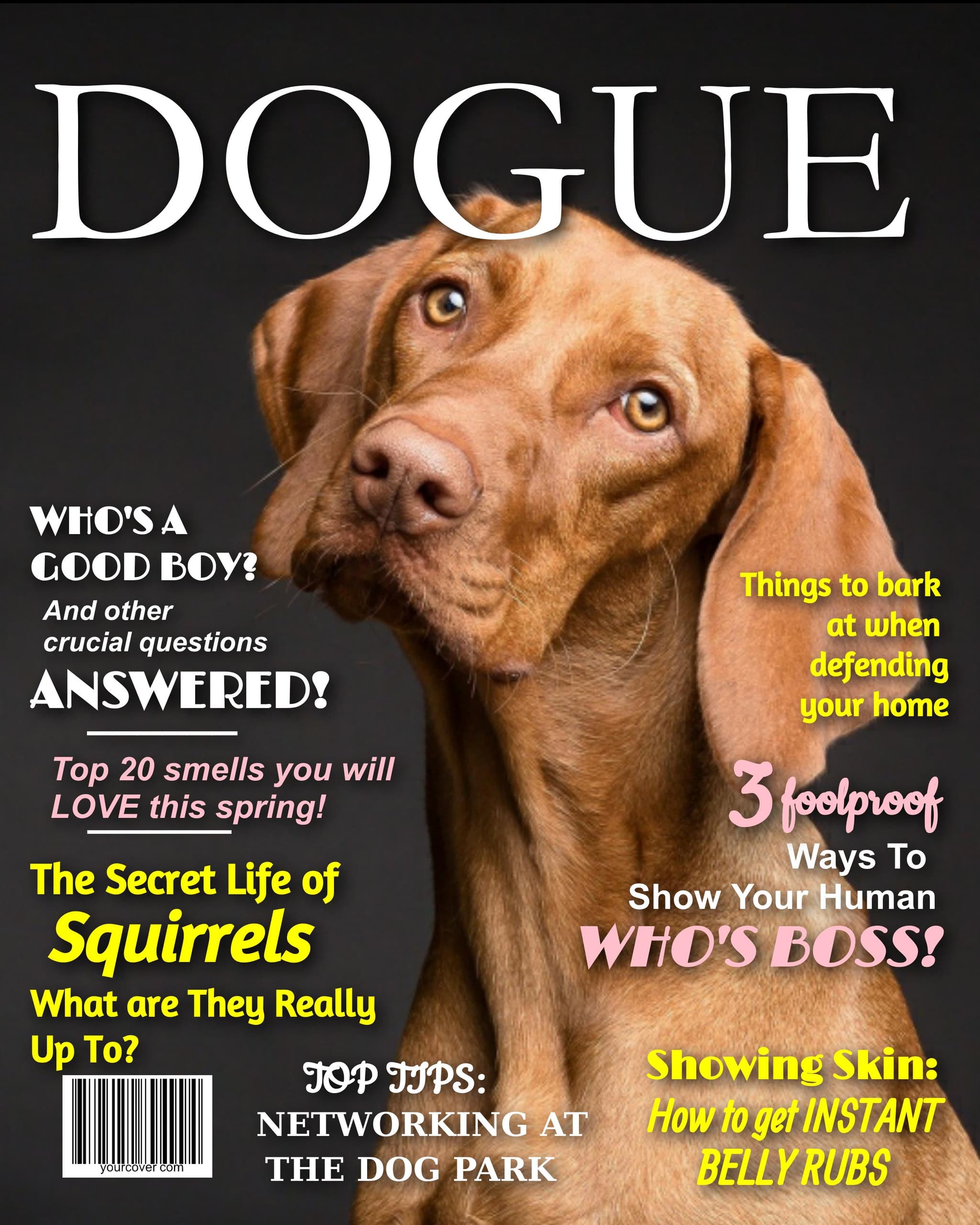 Dogue magazine cover template